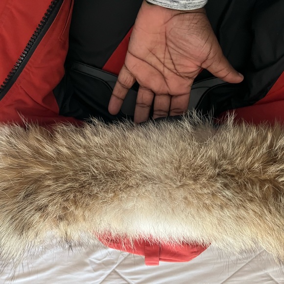 Candace Goose Jasper (Small) - Picture 6 of 11